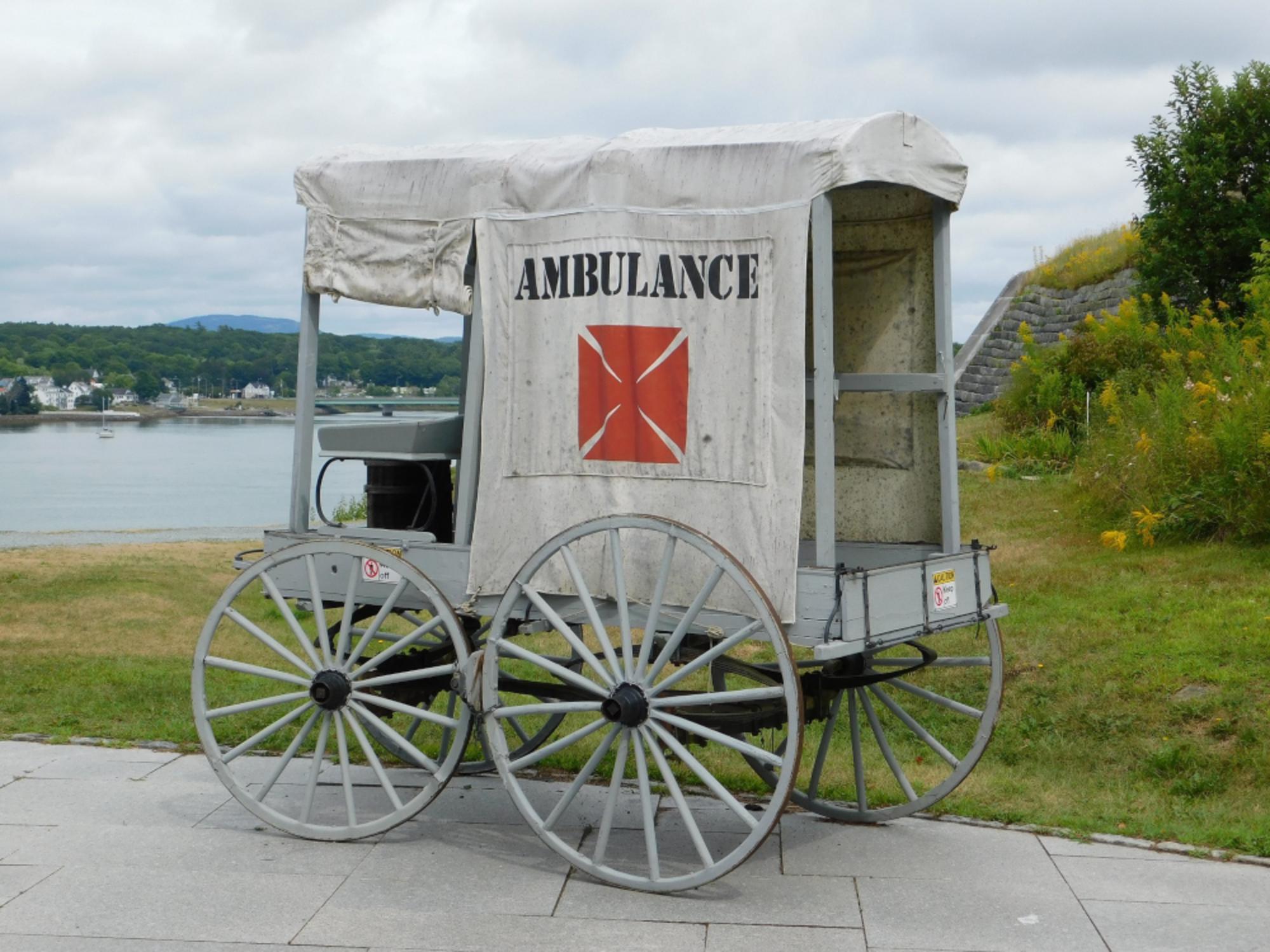 Sanidade e decrecemento_2